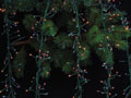 TLN203CLEAR     Светов. украшение гирлянда   Люкс, 4,5м х 768 лампочек, режим,   цвет (прозрачный)